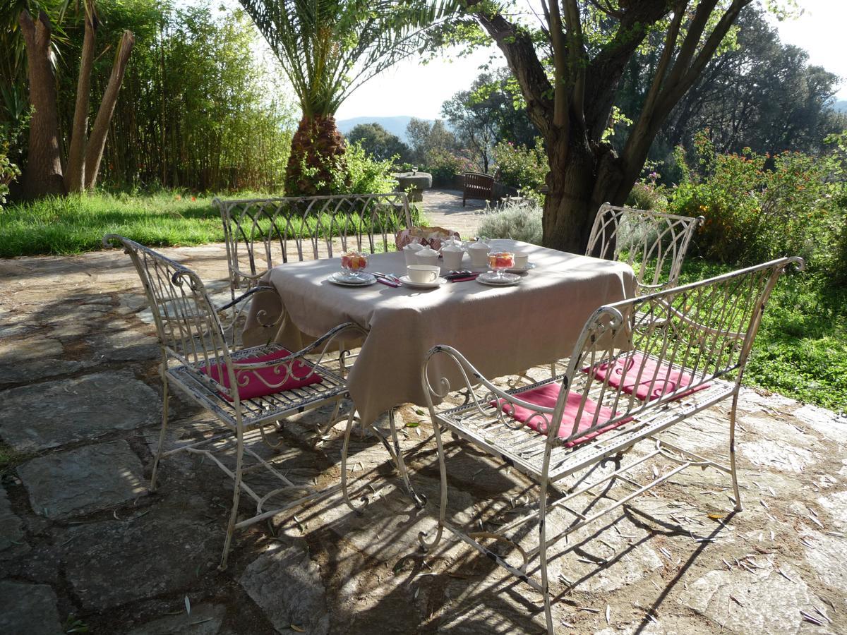 Casa A Rota Chambres d'Hôtes Ersa Extérieur photo